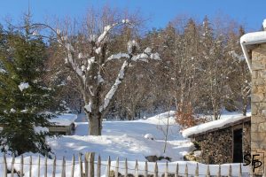 Lieu dit de Saint Lager sous la neige aux Nonières-Belsentes