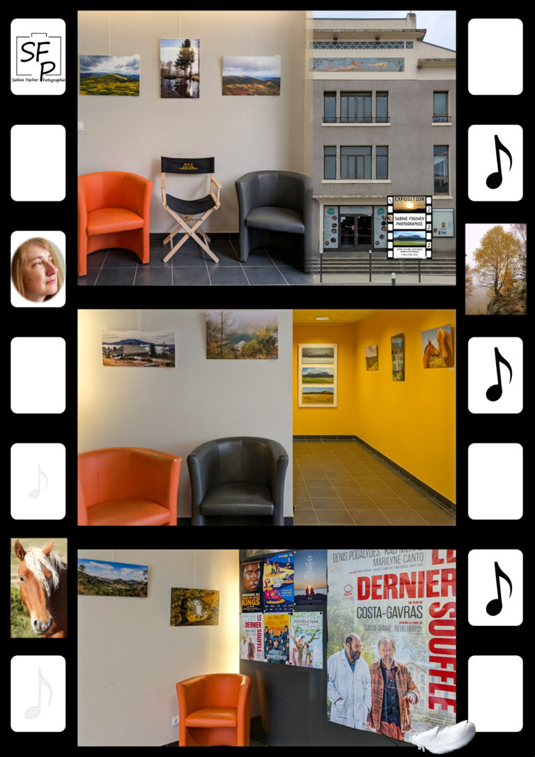 Photo de l'installation dans le hall de l'Espace Louis Nodon à Vernoux-en-Vivarais