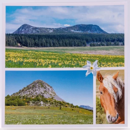 Carte postale carrée avec des photos du Mont Gerbier & Mézenc