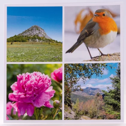 Carte postale carrée de photos du Mont Gerbier-Mézenc-Rouge gorge-Pivoine