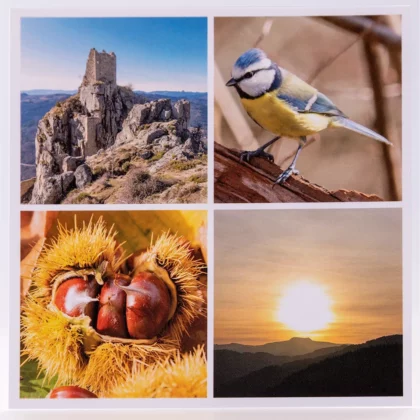 Carte postale carrée avec des photos du site de Rochebonne, du Mont Mézenc, mésange & châtaigne