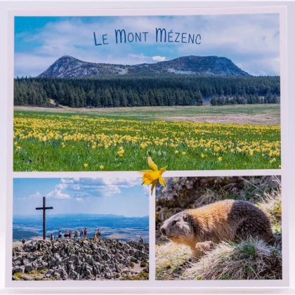 Carte postale carrée du Mont Mézenc & marmotte