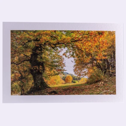 Carte rectangle texturée Châtaigner Automne