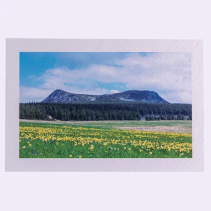 Carte rectangle texturée Mont Mézenc