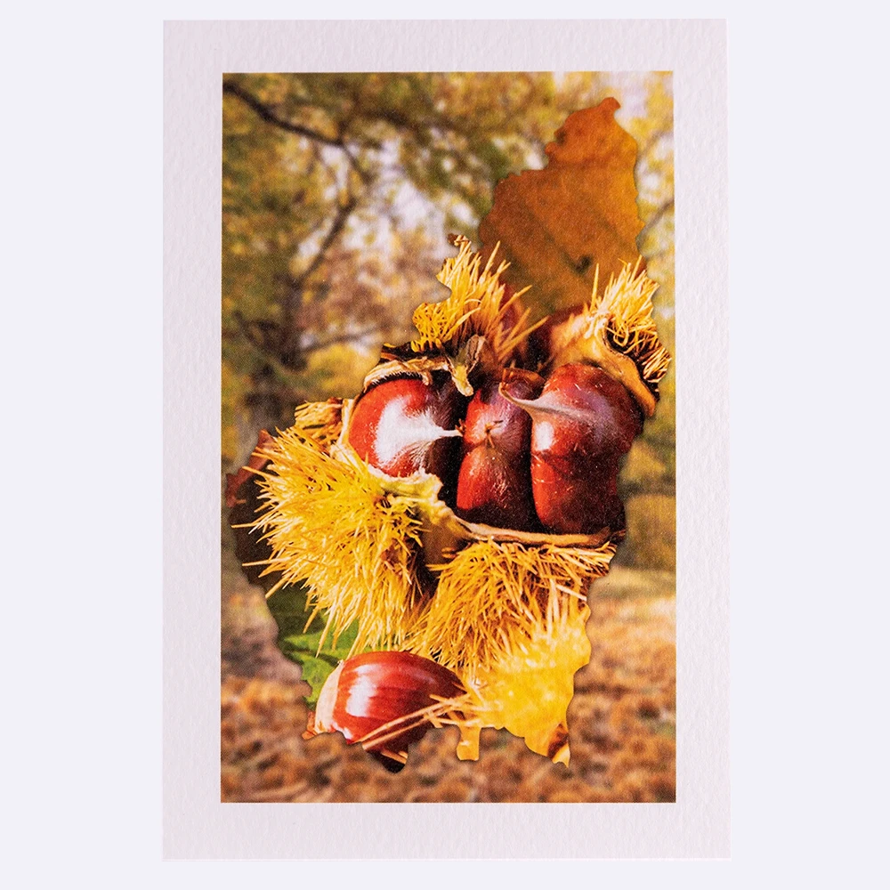 Carte rectangle texturée Ardèche-Bogue de châtaignes