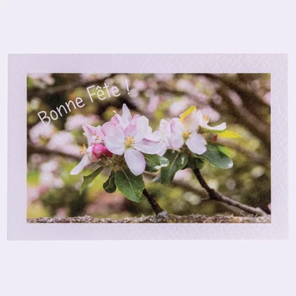 Carte rectangle texturée Fleurs de fruitiers : Bonne Fête