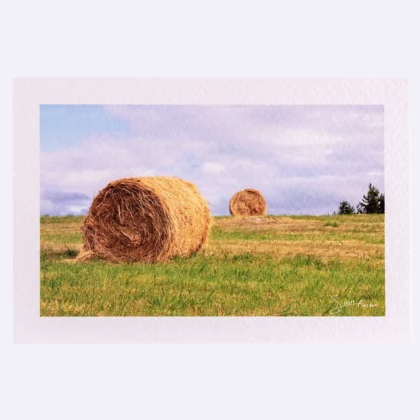 Carte rectangle texturée Ballot de paille