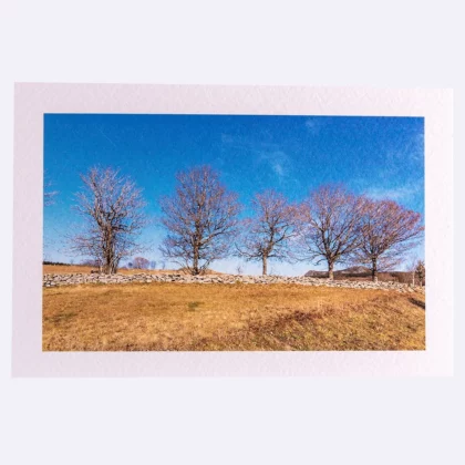 Carte rectangle texturée Arbres & Mont Mézenc