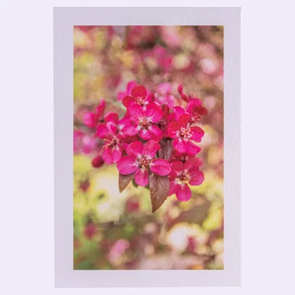 Carte rectangle texturée fleurs fruitiers roses