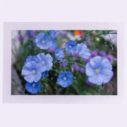 Carte Rectangle Texturée Lin bleu