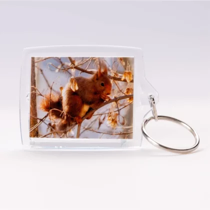 Porte-clés photo écureuil