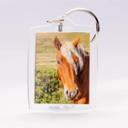 Porte-clés photo cheval du plateau Ardéchois