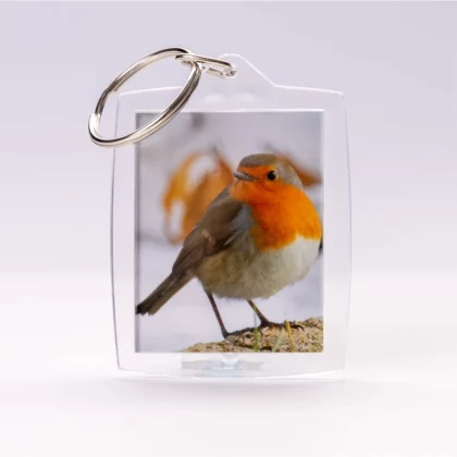 Porte-clés Rouge-Gorge