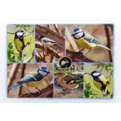 Set de table Oiseaux : Mésanges bleues & charbonnières et Pinson