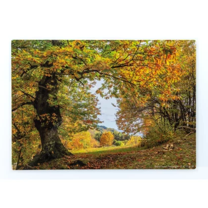 Set de table Automne & Châtaigner