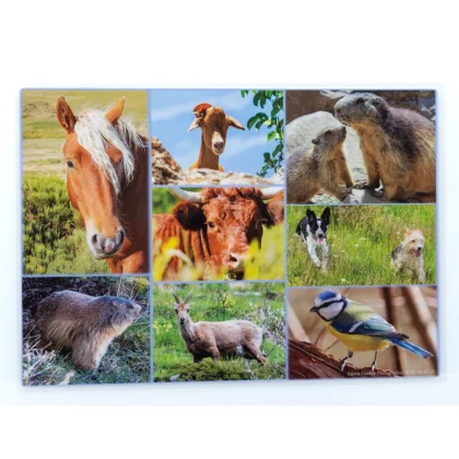 Set de table Animaux face 1