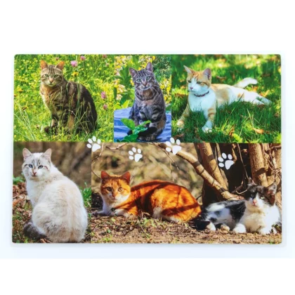 Sets de table avec des photos de chats face 1