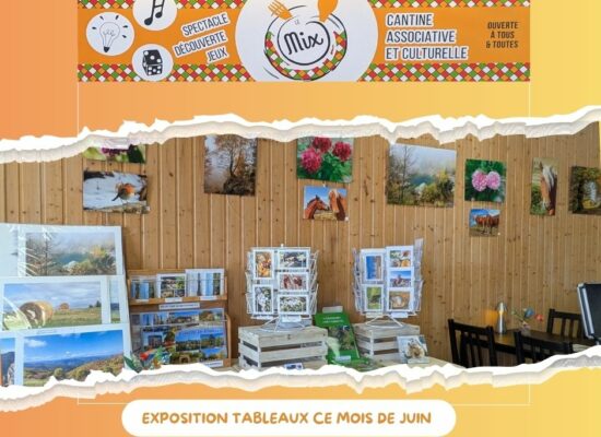 EXPOSITION Le MIx Vernoux-en-Vivarais
