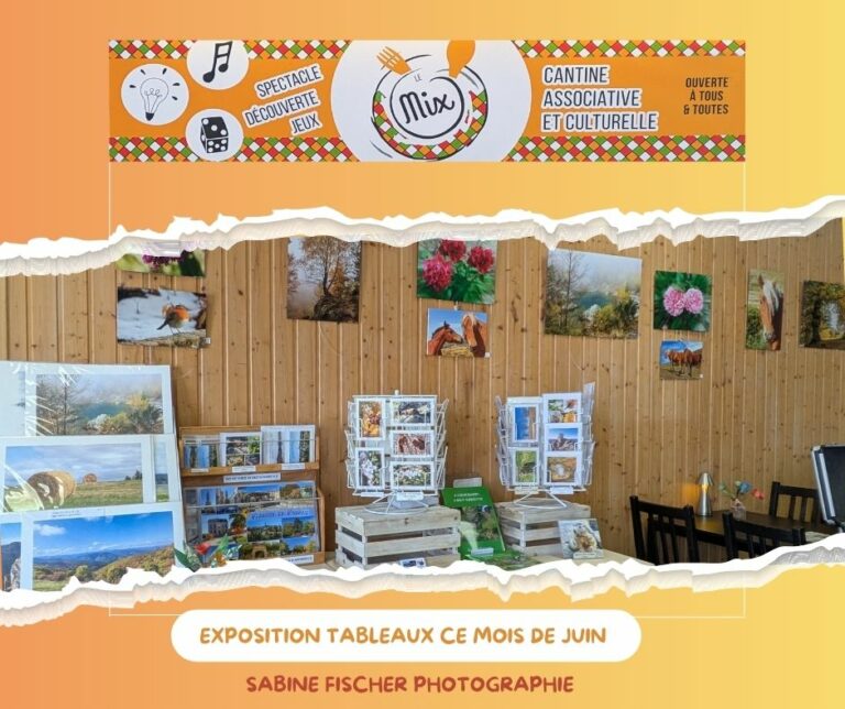 EXPOSITION Le MIx Vernoux-en-Vivarais